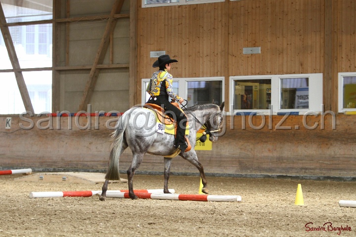 26-ApHC GT_237.jpg